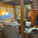 토방골 | [문래] 문래동 노포 보쌈맛집, 토방골 원아의 내돈내산 후기