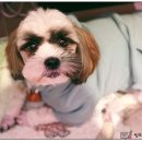 벤지동물병원 이미지