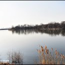 서호공원 이미지