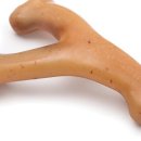 덴탈메이플 이미지