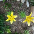 날마다잔치 이미지