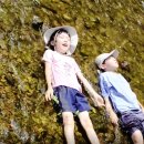 동영유치원 이미지