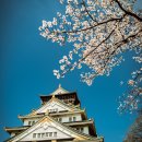 일본 오사카성의 벚꽃축제 이미지