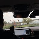 우리가족한의원 | 대추밭백한의원 방문 후기 디카페인 커피 카페인금지 한약 가격