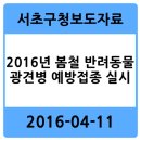 이리온 양재점 이미지