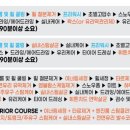 스카이 오토 네이버블로그