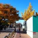 영천동 영천동주민센터 앞 이미지