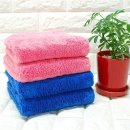 아젤리아 이미지