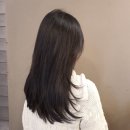 서하 | 청담동 커트 잘하는 미용실 디오브제 서하디자이너 솔직후기