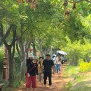 한밭수목원 이미지