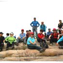 송원사슴 이미지