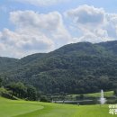 신원CC 티스토리
