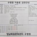 찬스아이 수영장 이미지