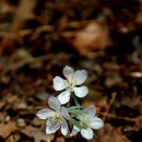 변산고을 이미지