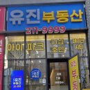 더 유진부동산중개 | 정직함으로 소통하는 '광교유진부동산'을 소개합니다