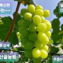 별산농장 네이버블로그