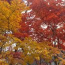 우리들 | 우리들의 발라드 후기