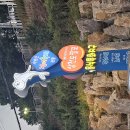 시장이 반찬이다 이미지