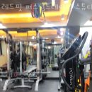 레드핏퍼스널트레이닝