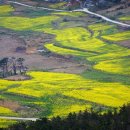 관매도(관호) 이미지