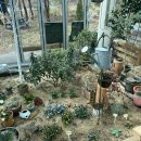 아소 스테이 이미지