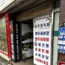 광주앵카페