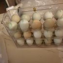 백자농장 이미지