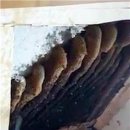 인천중부소방서 2층 이미지