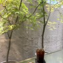 세모커피