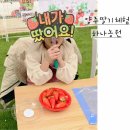 86농장 | 아이랑 딸기농장체험 양주 딸기체험은 바로 여기! 내돈내간