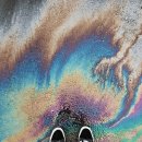 대한유지 이미지