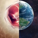 디엔엘고 이미지