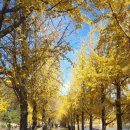 화양황토빌리지 이미지