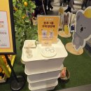 서울 코엑스 4월 팝업스토어 네이처스웨이 팝업 방문후기