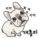 G4101 이미지