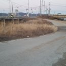 용전교 대경일보