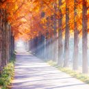 나주자원 이미지