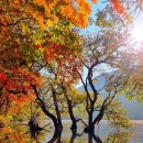 빛 96 - 11 이미지