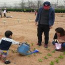 강서구-3 이미지