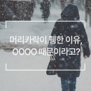 웰킨 천호점