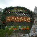 단풍나무펜션민박 이미지