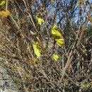 홍천세무서 이미지