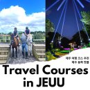 인간과허브 | 제주도 가볼만한곳 제주 동쪽 제주 핫플 5