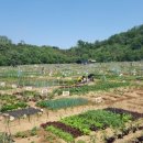 안산농장 이미지