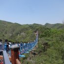 출렁다리 이미지