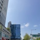슈퍼커브 구매 후기 / 바린이 / 번호판 받는 방법