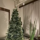 더몰트하우스성성호수공원점 이미지