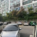 용흥우방상가(399241) | 용흥동 콩국수 [대한콩국] 포장후기