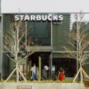 스타벅스 부산광복로R 이미지
