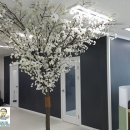 희성프라자 이미지